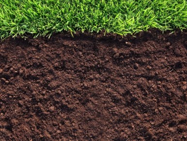 ��������� �� ����: �������� � ����� �������� ������ ��������