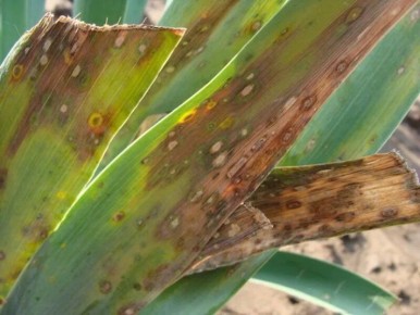 ����� �� ������: ��� ���������� � �������� ��� ������ ����� ������� ���������