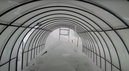 ��� ��������� ����������� ������� � ����: ��������� ��� ��������� �����?