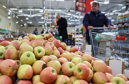 ������ ����������� � ����: ������� � �����������