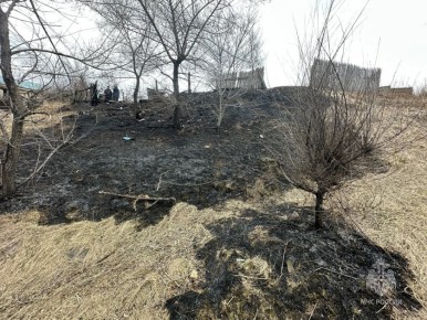 � ������� ����� ���� ����� �����������