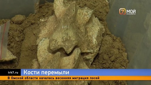 ������� � ������� ���������� �������! ������������ ��������� �������� �������������� ����� � ������ ����� �� ���������� �������� ���������