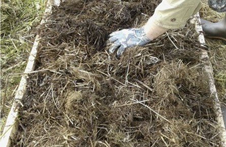 ����������� ����� ������ ������: ������� ���������� ��� ������