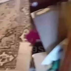 � ������������ �������� ���� ����������� 9-������� ����, ������ ��� ��� �� �����