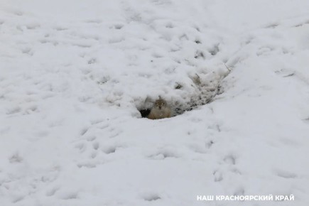 ����� ����� �� ���� � �� �����, � ����� ����� �� ��������