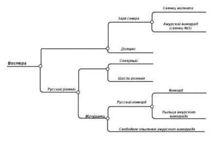 �������� �������: ���������� ����, ������� �������� �������� ���������