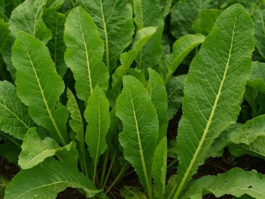 �� ����������: ��� ������ ����� ����� ����������� ��� ���