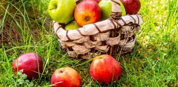 ��������� ����� ����: ��� ���������� ����������� ���� � ������