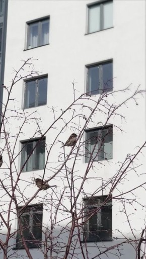 ������ +11. ������ ��� ����� � � MAX