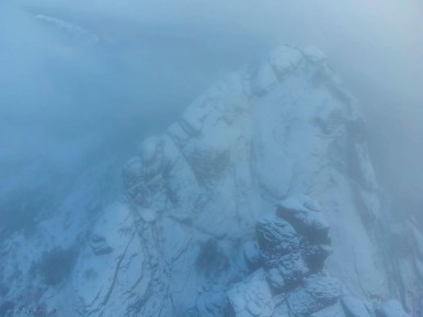 �������� ���� ��� ��������