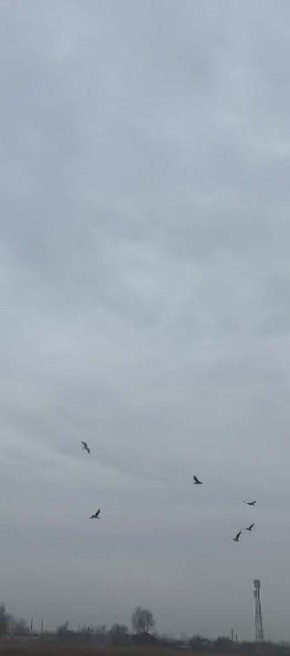 ���������� ������ � ���������� ����� ���������� ����