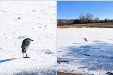 �� ���� ������� �� �� � �������� ������: ��������� �� ���� ������ ������ ������� ����, �������� ������������ � ��������