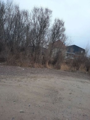 ��� ��� ������� ��������� � ���