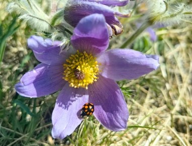 +22�� � �����: ������ �������� ���� �����������