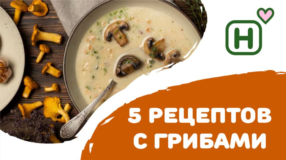 ������� ����������: 5 ������ �������� � �������, ������� ������� ���� ������