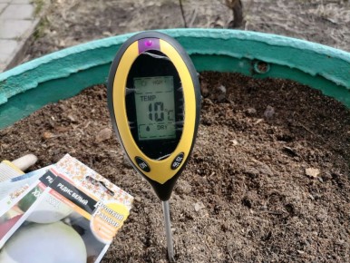 ��� �������� �������� ������ ������ � ������� �������� ������