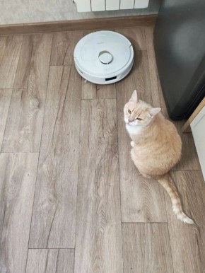 ������ �� ����� �� ��������� ����� �� ������ ������