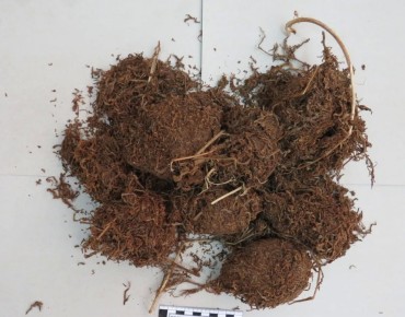 ����������� ������������ ������ �� ����������� ������� ������� 700 ������� �������������� �������� ������������� �������������