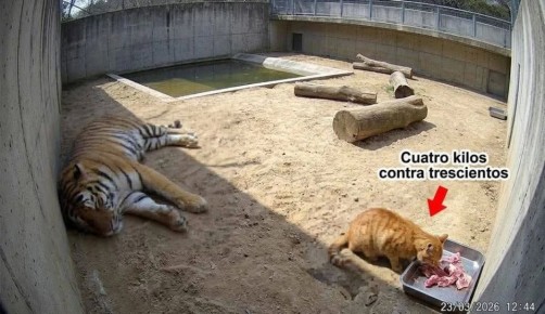 ����� ��� ��������� ������� ������ ��� � �������� ����� � ������������ �����