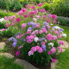 ������ ������ �� ����� �������� ������: ����������� �����������