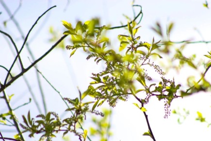 ������� � ����������� ������ +20��