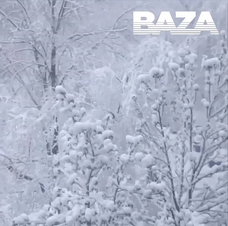 ������� �������� ���������� ������