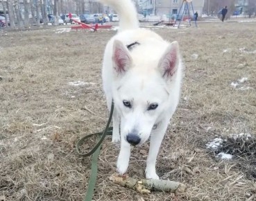 ��������� �� ����������: � ������� ����� ����� ���������� ������� ������ �� �������� ��������� � �������