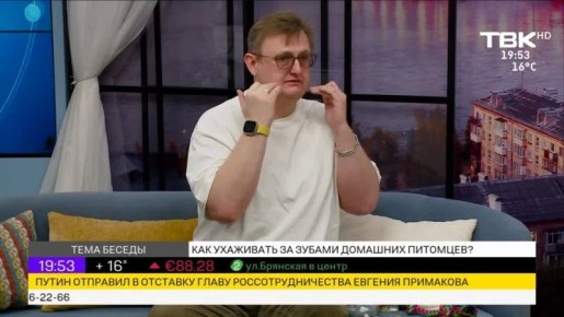 ������ �������� ��� �������� � 20:00