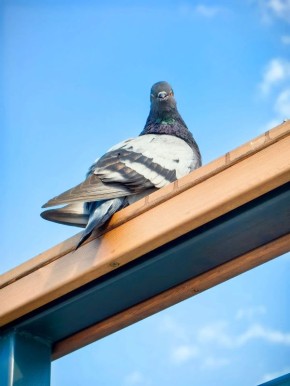 ����-���� ������������ ������ ������ ���������� � ������ ������� �� ������