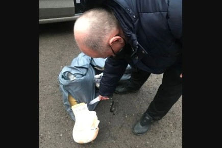 ����� ������� �������� �� �������� ��������