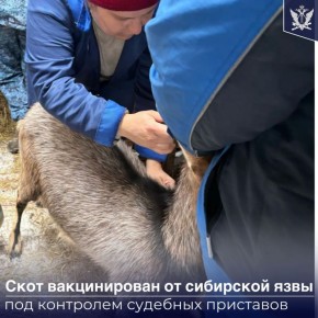 � ������������ ���� ������� ������ ����������� ����������� ����������� ������������� ����� ���� � ���, ����� ������������ 60 �����, ������ ��������� ����