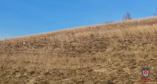 ��������� � ����� ���������, ������� ����� �� ���� �������� ����� � ����������� ������, ��������� ����������� ���������� �����