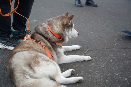 ������� ������������ �, � �������, � ������� ������