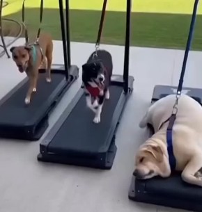 ������ ����!. ������ ���������, ��� ��� ������� ������ � ��������, � �� ������������ ������� ���������� �������� ����� ��� ���!