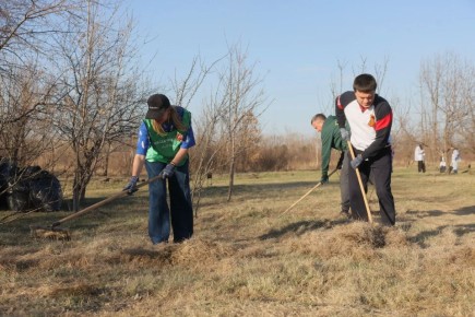 ������ �������: ����� �������� ��� ������������� � �������������� ����������