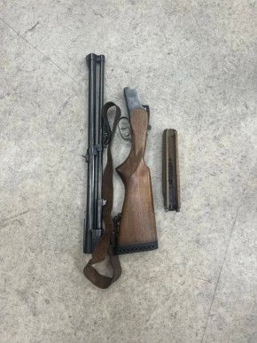 ������ � �����: ����� ����� ���������� ������ ����������� �� �������� ����������� ������� ��� ��������