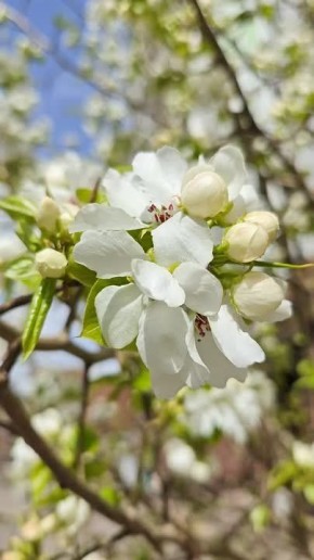 ����� ���� 30 ������ � ������� ����