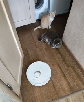 ���� ������ ������ � ����������, � ��?