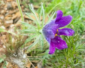 ������� � �� +25�C: ������ �� ������� ��������� � �����������