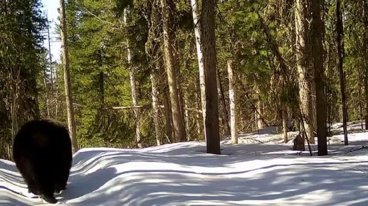 �� ������ ���� ����������� �������