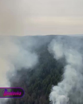 � ������������ ���� �� ����� �������� 42 ������ � ���� �� ��� �������� �������