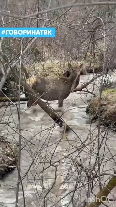 �� ������ �� ������ ��������� ������
