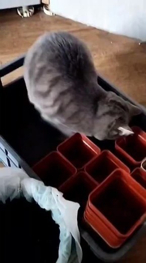 ��� ����� ��������� � ������� ������