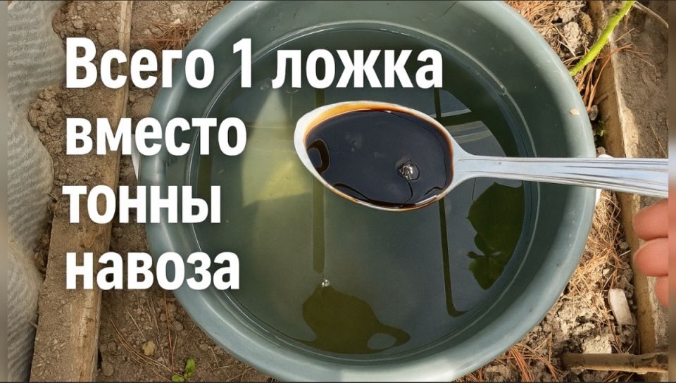 ����� ������ � ��������� �����: ��������� ��������� ������� � ������� �����