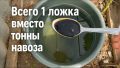 ����� ������ � ��������� �����: ��������� ��������� ������� � ������� �����