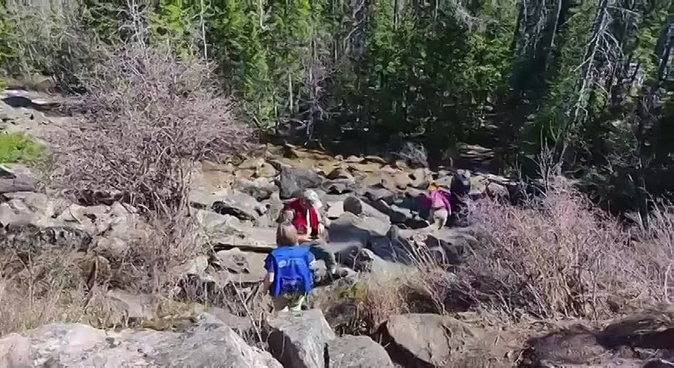 ��������, ��������� � �������� ����� ����������� ������������� ������� � ������� 55-������� ������� ����������, ���������� ��� 9 �����