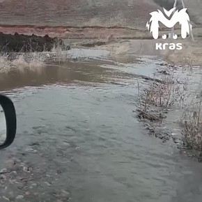 "��� ����". ������� � ������ ����� ��-�� ������� ���� � �������