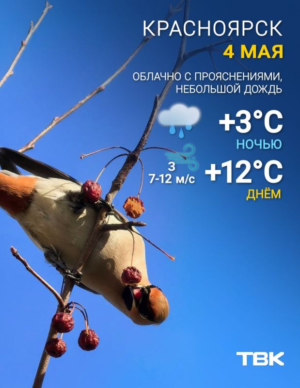 ������ �� �������. ���� +12, ����� �� 12 �/�, ��������� ����� ������ ��� ����� � � MAX