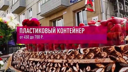 ЯГОДНЫЙ БУМ НАКРЫЛ КРАСНОЯРСК