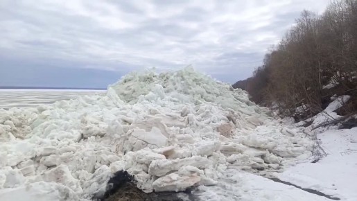 #Видеодня. Весна набирает обороты:
